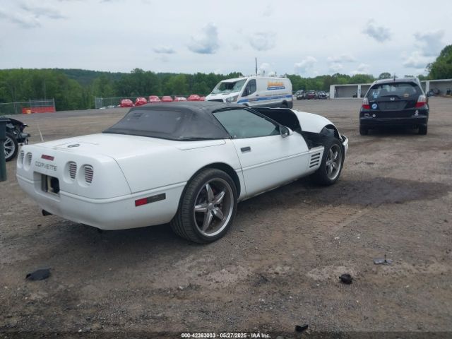 1992 CHEVROLET CORVETTE 1G1YY33PXN5100728 Photo 3
