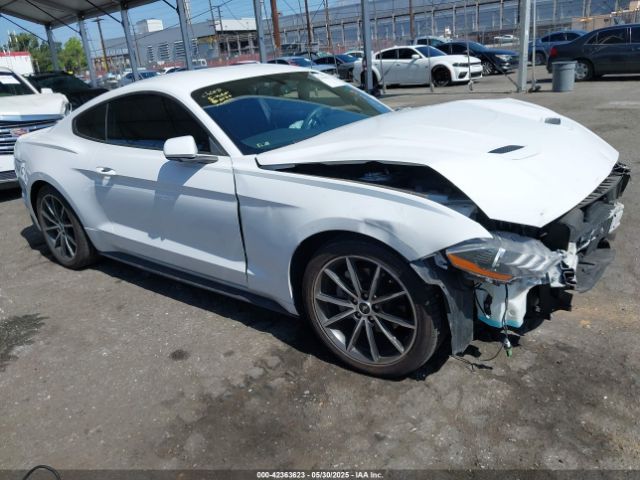 2019 FORD MUSTANG 1FA6P8TH3K5123485