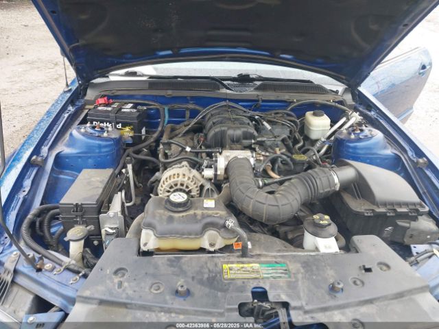 2007 FORD MUSTANG 1ZVFT80N175237313 Photo 9