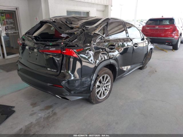 2021 LEXUS NX 300 JTJDARBZ7M2194287 Photo 3