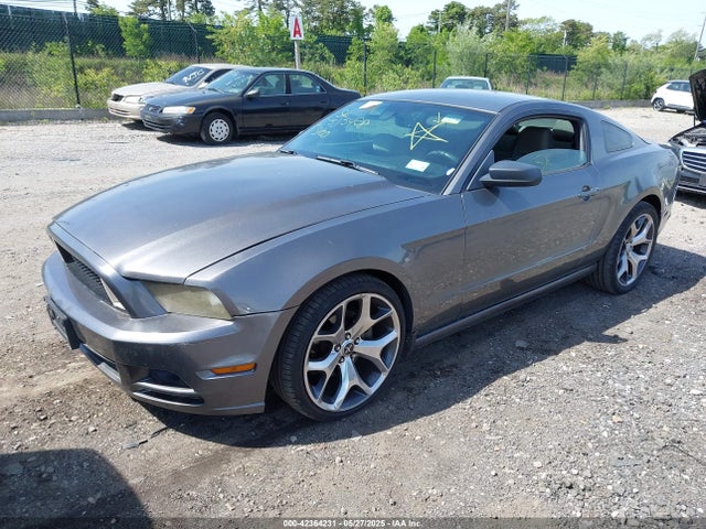 2013 FORD MUSTANG 1ZVBP8AM1D5269392 Photo 1