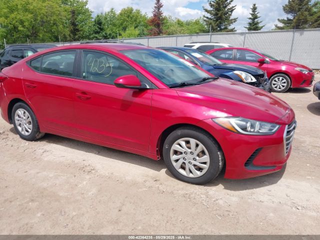 5NPD74LF1HH167096 auction archive image