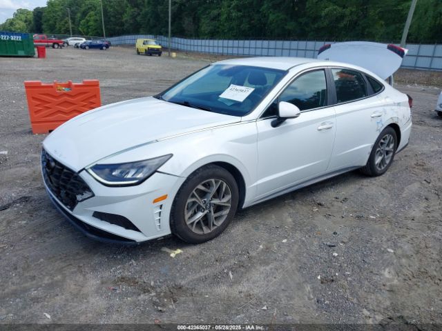 2020 HYUNDAI SONATA 5NPEF4JA6LH031151 Photo 1
