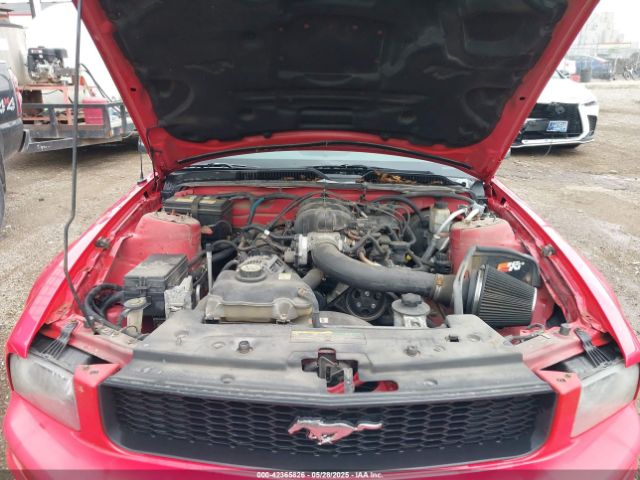 2009 FORD MUSTANG 1ZVHT80N195136252 Photo 9