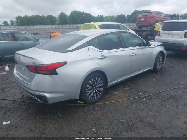 2023 NISSAN ALTIMA 1N4BL4DV6PN300982 Photo 3