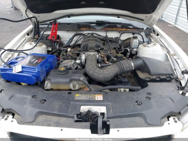 2010 FORD MUSTANG 1ZVBP8ENXA5167037 Photo 9