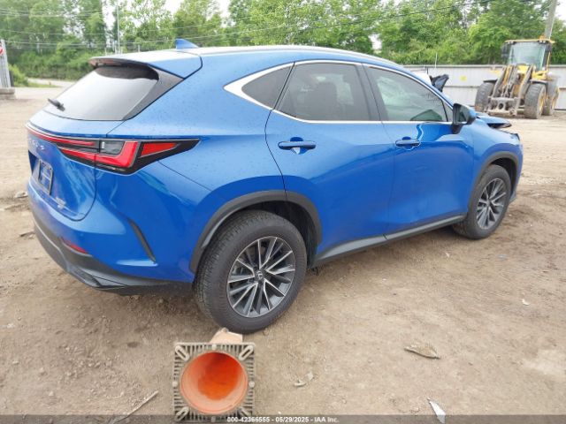 2025 LEXUS NX 250 2T2GDCEZXSC005495 Photo 3