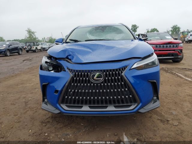2025 LEXUS NX 250 2T2GDCEZXSC005495 Photo 5