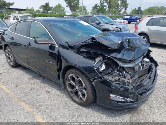 2019 CHEVROLET MALIBU 1G1ZG5ST5KF198431