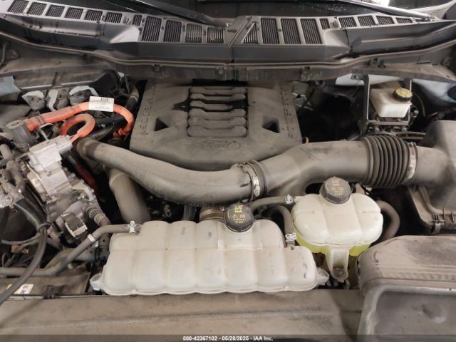1FTFW1ED0PFB12203 Ford F-150 Limited