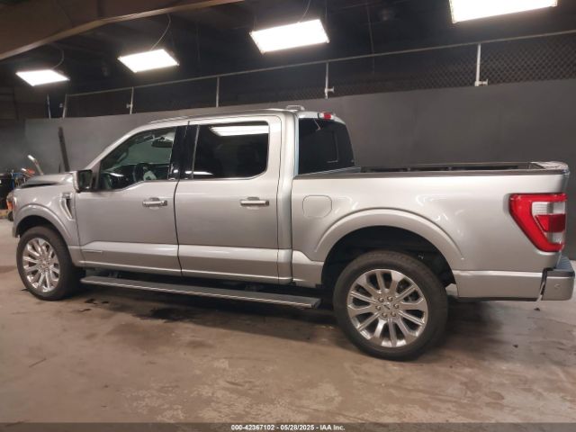 1FTFW1ED0PFB12203 Ford F-150 Limited