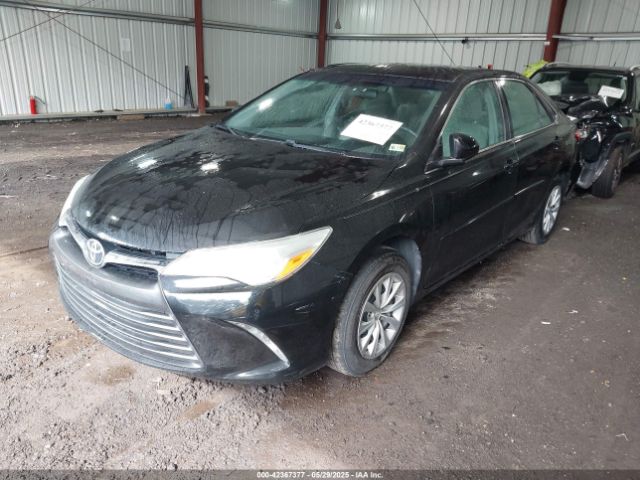 4T4BF1FK8GR577384 Toyota Camry Le/se/xle/xse