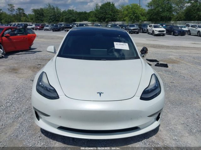 5YJ3E1EA4LF799566 Tesla 2020