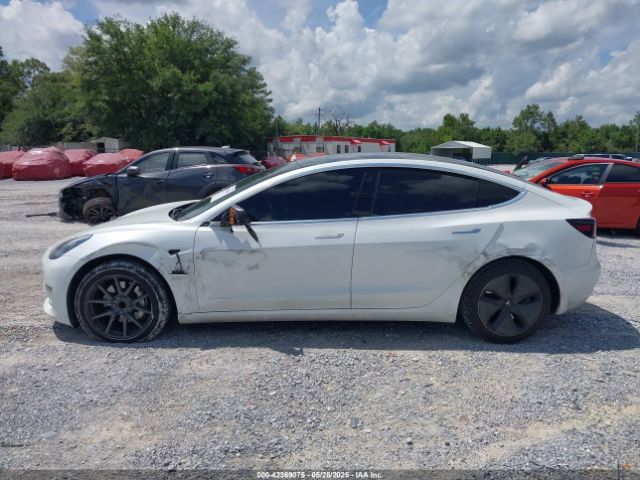 5YJ3E1EA4LF799566 Tesla 2020