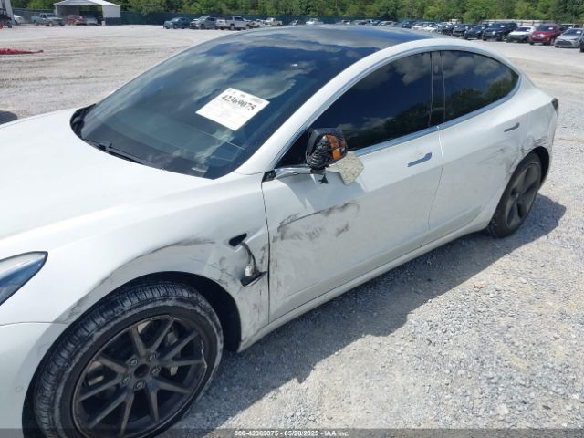 5YJ3E1EA4LF799566 Tesla 2020