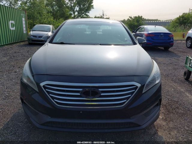 5NPE34AF6GH353931 Hyundai Sonata Sport