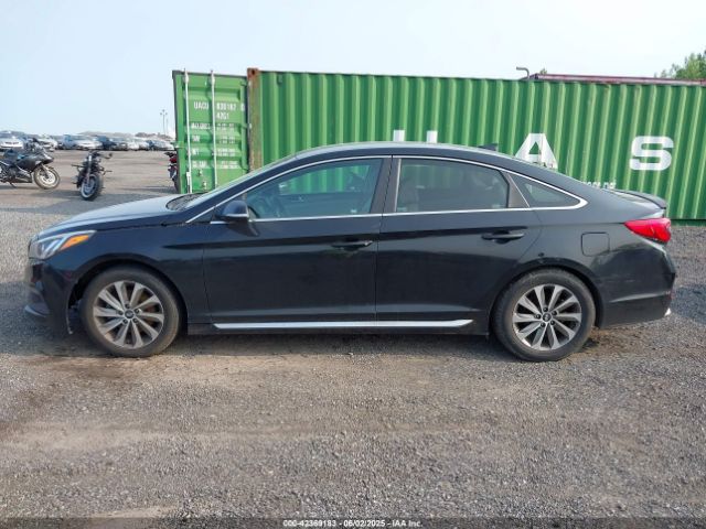 5NPE34AF6GH353931 Hyundai Sonata Sport