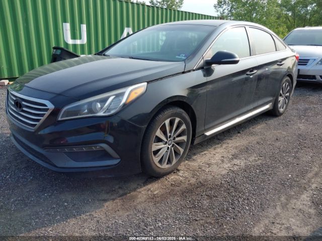 5NPE34AF6GH353931 Hyundai Sonata Sport