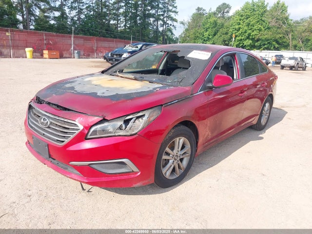 5NPE24AF4HH477636 Hyundai 2017