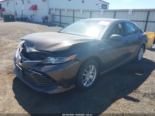 4T1B31HK3KU514914 Toyota Camry Hybrid Le