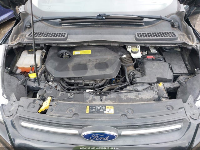 Ford ESCAPE SE 2014 1FMCU9GX8EUB81191 Image 10