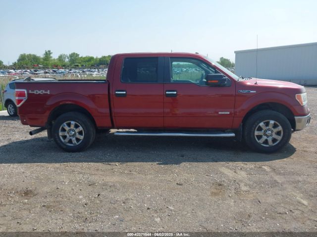 1FTFW1ET2EKE62458 Ford F-150 Xlt