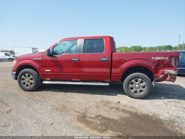 1FTFW1ET2EKE62458 Ford F-150 Xlt