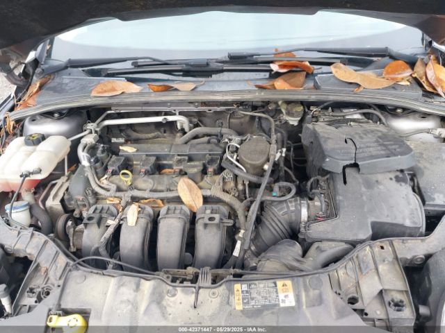 1FADP3K23EL361196 Ford FOCUS SE