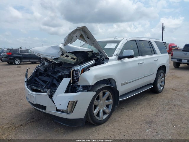 2019 CADILLAC ESCALADE 1GYS3BKJXKR313986 Photo 1