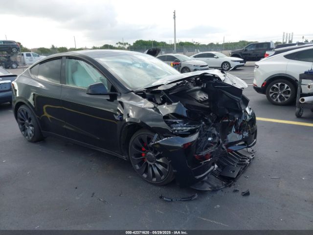 2025 TESLA MODEL Y 7SAYGDEF2SA341357