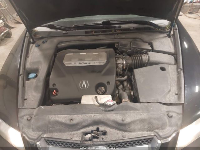 2008 ACURA TL 19UUA66288A006601 Photo 9