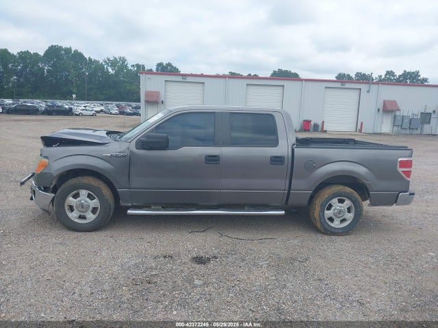 Ford F-150 2014 1FTFW1CF2EKE57256 Image 15
