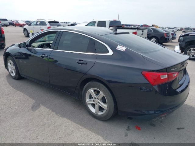 2023 CHEVROLET MALIBU 1G1ZB5ST9PF244123 Photo 2