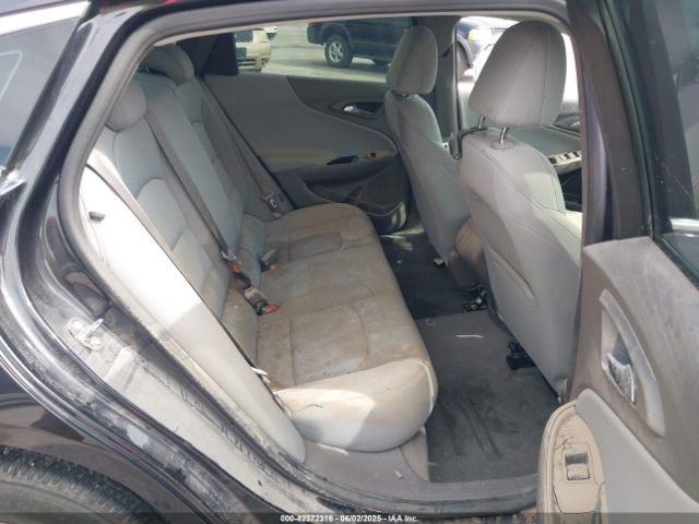 2023 CHEVROLET MALIBU 1G1ZB5ST9PF244123 Photo 7
