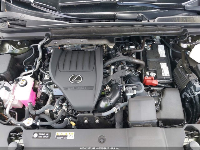 Lexus t24a-fts 2024 2T2BAMBA7RC040027 Image 10