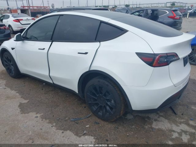 2023 TESLA MODEL Y 7SAYGDEE5PA109334 Photo 2