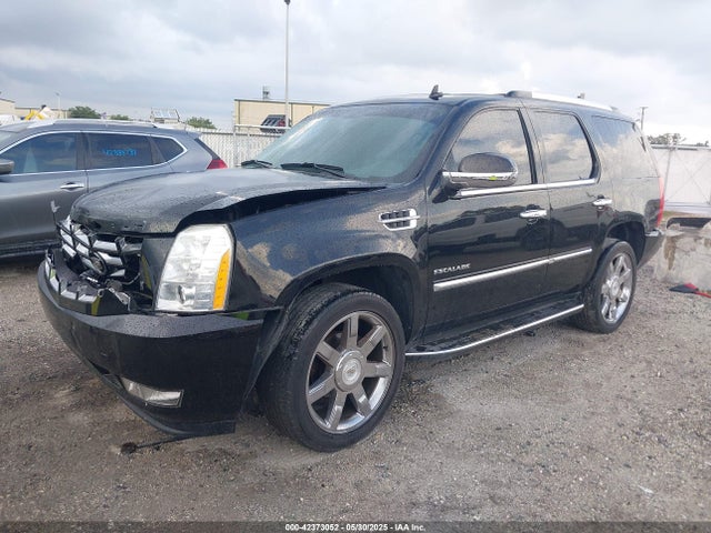 2010 CADILLAC ESCALADE 1GYUCBEF4AR114804 Photo 1