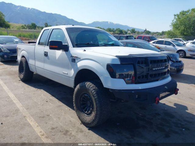2012 FORD F-150 1FTFX1ET8CFD00529