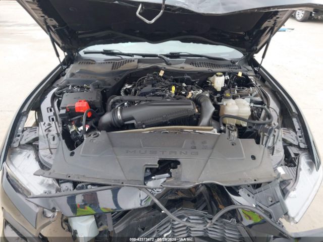 2024 FORD MUSTANG 1FA6P8TH1R5105612 Photo 9