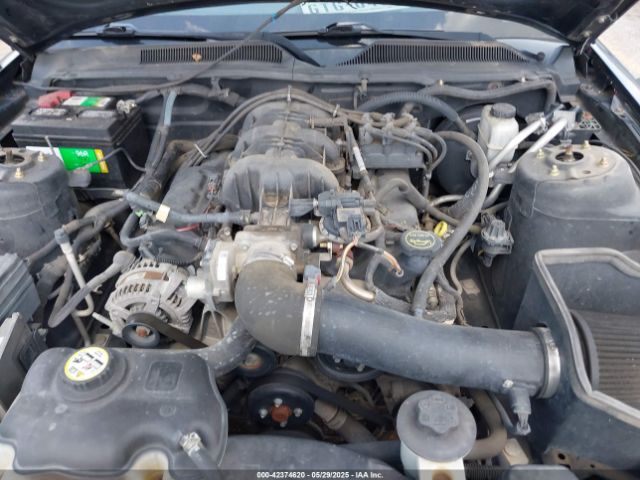 2009 FORD MUSTANG 1ZVHT80N195106555 Photo 9