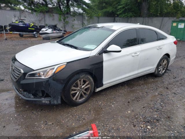 5NPE24AF2GH363505 Hyundai SONATA SE