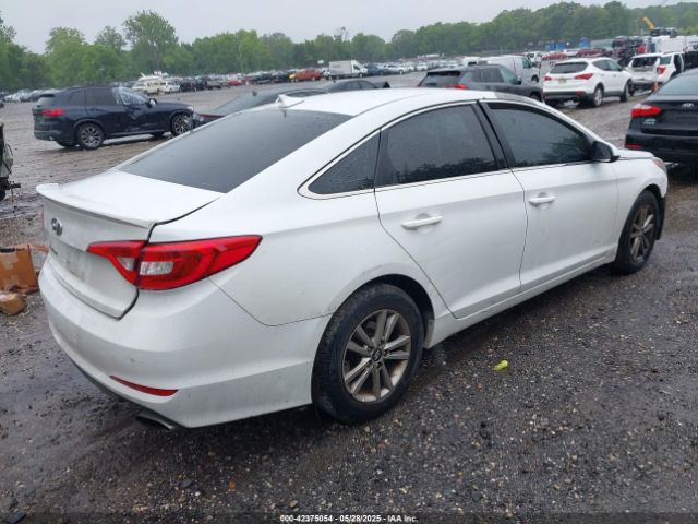 5NPE24AF2GH363505 Hyundai SONATA SE