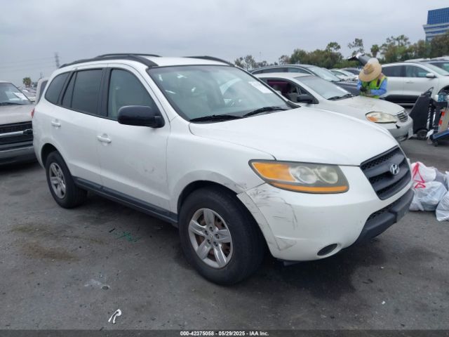 2009 HYUNDAI SANTA FE 5NMSG13D39H247552