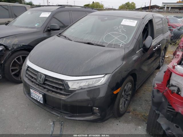2021 HONDA ODYSSEY 5FNRL6H7XMB031234 Photo 1