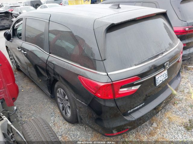 2021 HONDA ODYSSEY 5FNRL6H7XMB031234 Photo 2