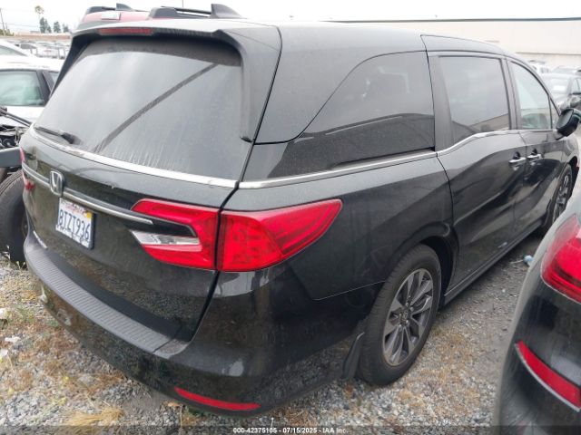 2021 HONDA ODYSSEY 5FNRL6H7XMB031234 Photo 3