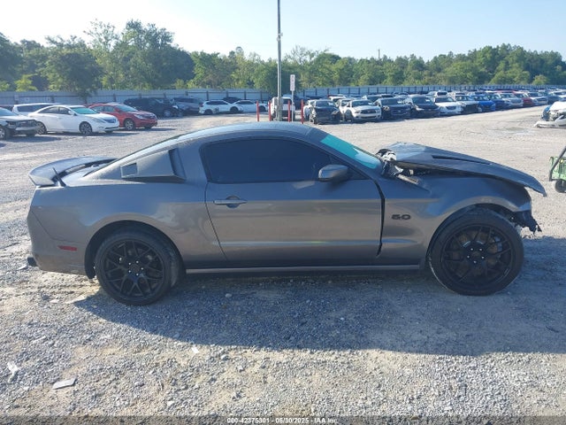 Ford Mustang Gt Premium 2014 1ZVBP8CF4E5246348 Image 13