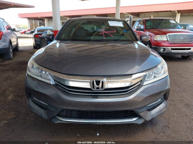 1HGCR2F51HA244376 Honda Accord Sport