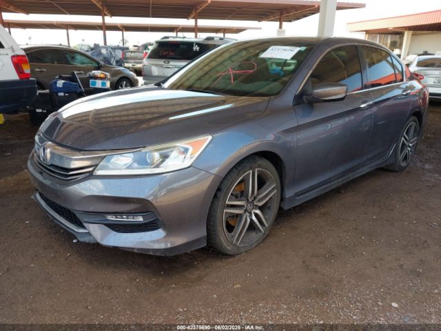 1HGCR2F51HA244376 Honda Accord Sport