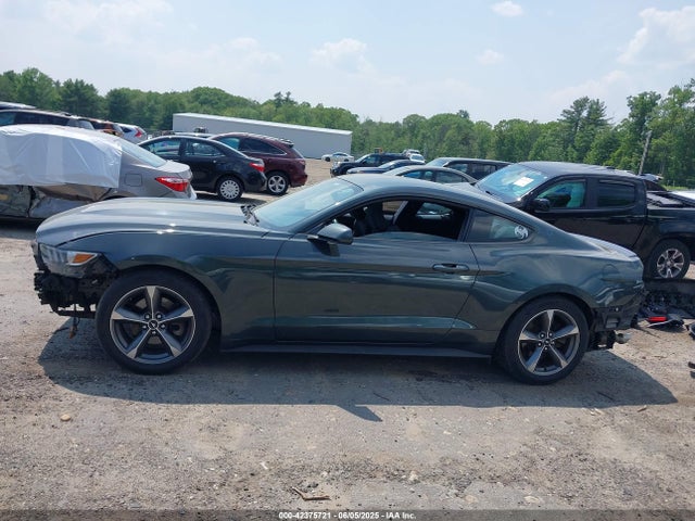 Ford 2016 2016 1FA6P8AM6G5263781 Image 15